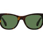 Óculos de Sol Off-White OERI108 Tartaruga –  6055