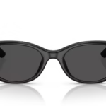 Óculos de Sol Ray-Ban 0RB4457D  -Preto 667787