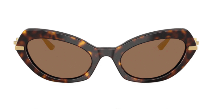 Óculos de Sol Dolce & Gabbana 0DG4473- Havana 502/73 - Imagem 1