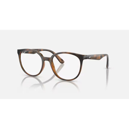 ARMAÇÃO RAY-BAN VISTA 0RX7206L 2012 52